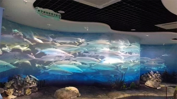 深圳蛇口海洋博物馆