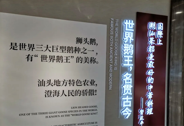 澄海狮头鹅文化展厅
