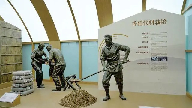 随县香菇博览馆