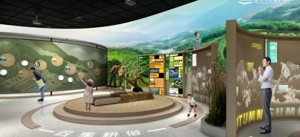 梯田博物馆展厅设计
