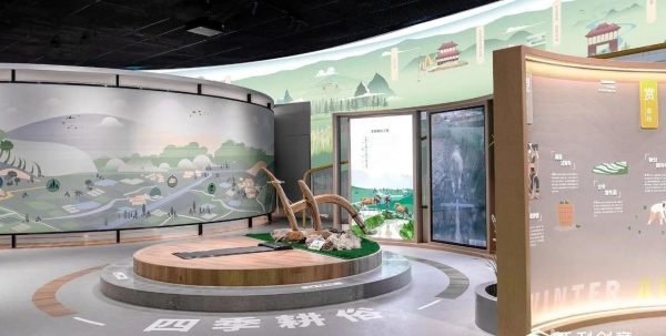 梯田博物馆展厅设计