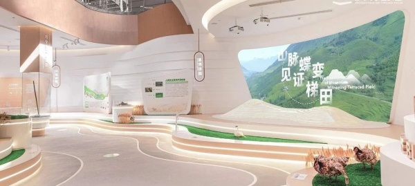梯田博物馆展厅设计